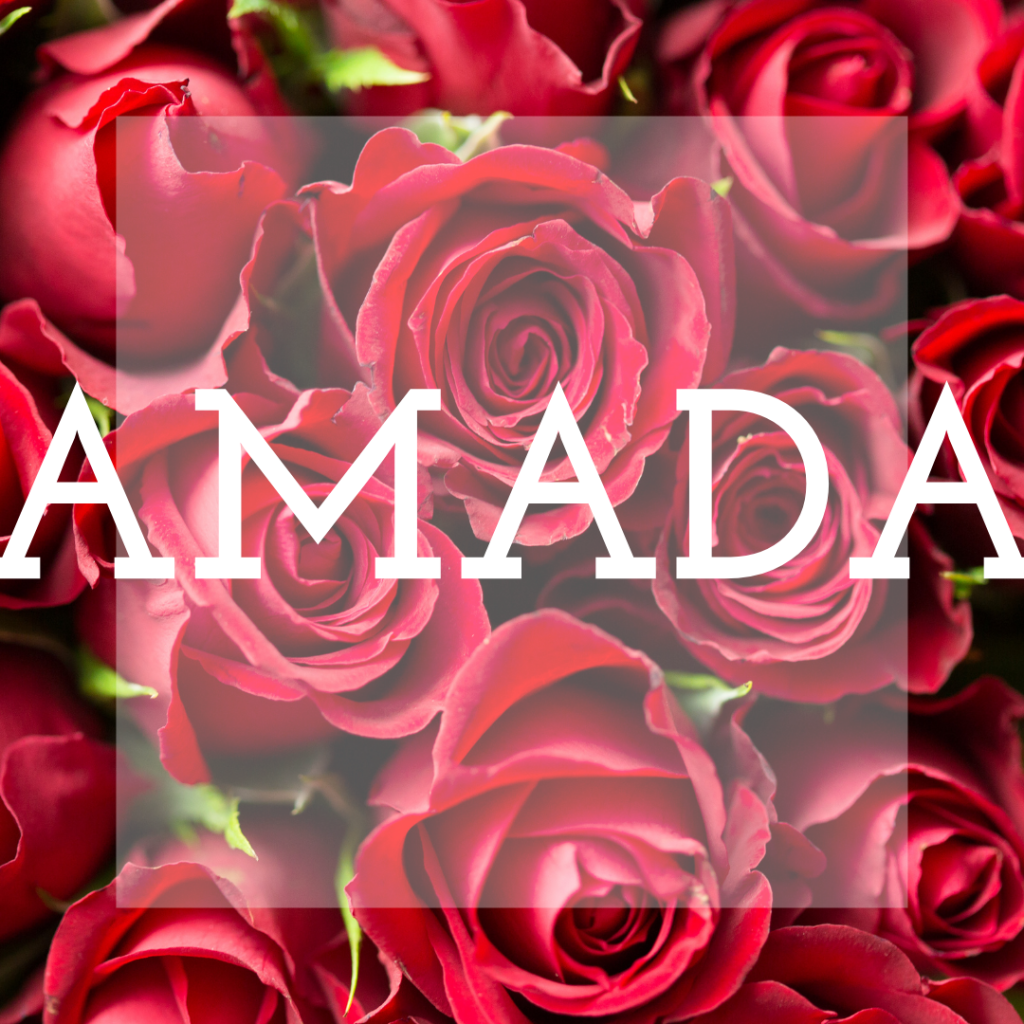 rosas a domicilio medellin envigado-sabaneta e itagui