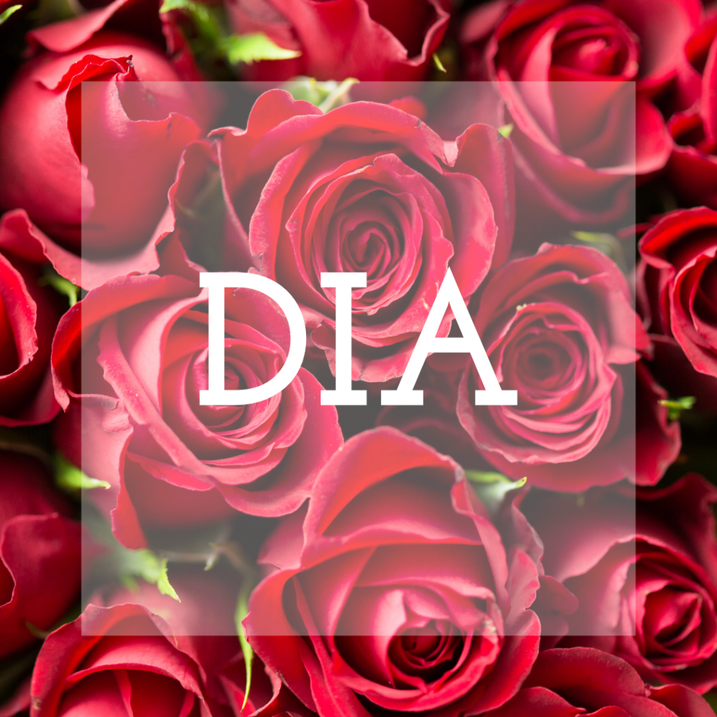 rosas a domicilio medellin envigado-sabaneta e itagui