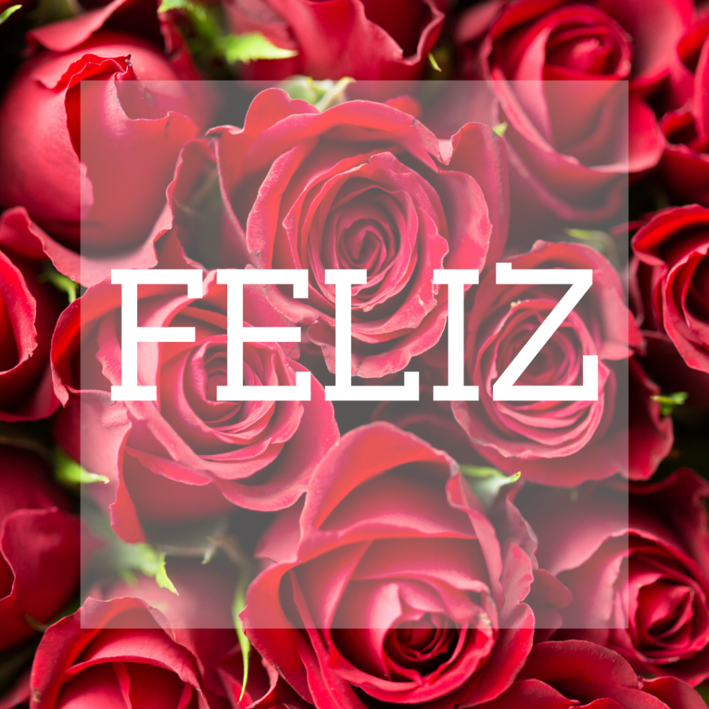 rosas a domicilio medellin envigado-sabaneta e itagui